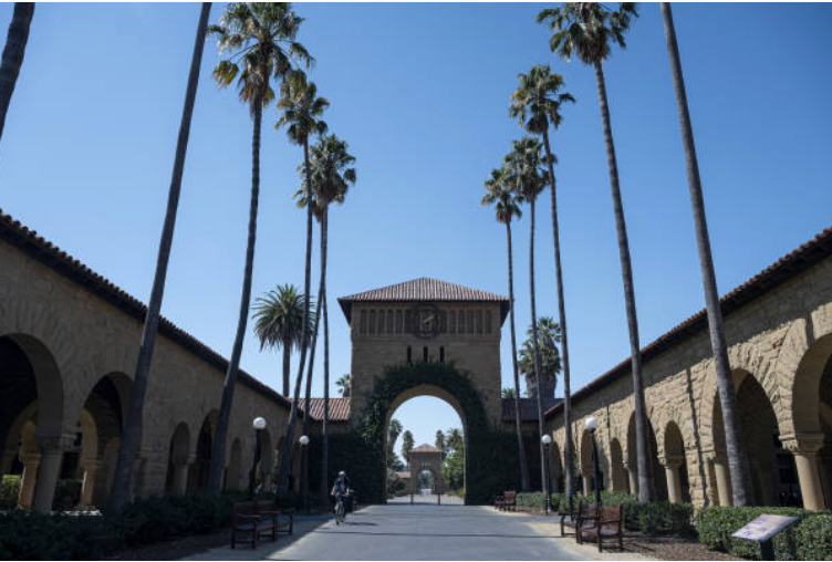 Which College Institutions Are ‘Too Big to Fail’?
